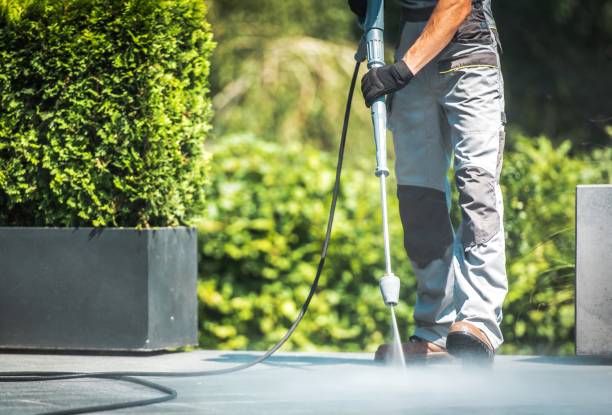 Best Pool Deck Cleaning  in Lubeck, WV