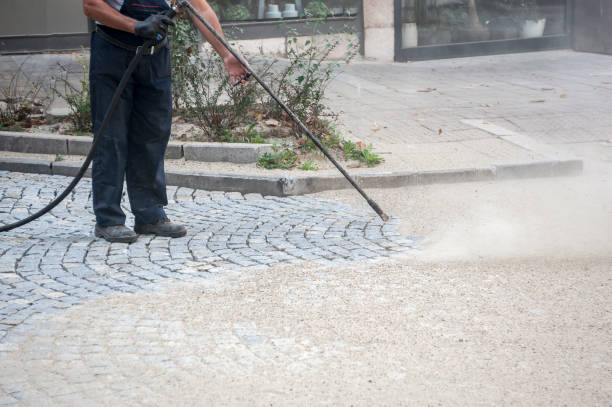 Best Pre-Holiday Cleaning  in Lubeck, WV