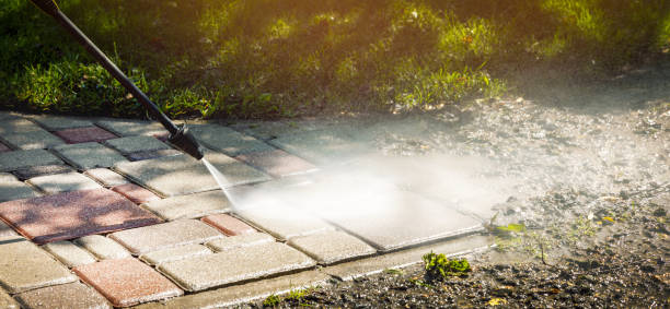 Best Animal Enclosure Cleaning  in Lubeck, WV